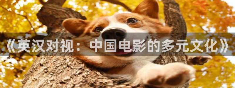 电影红叶