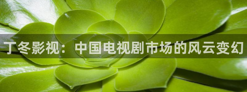 红叶影视官网