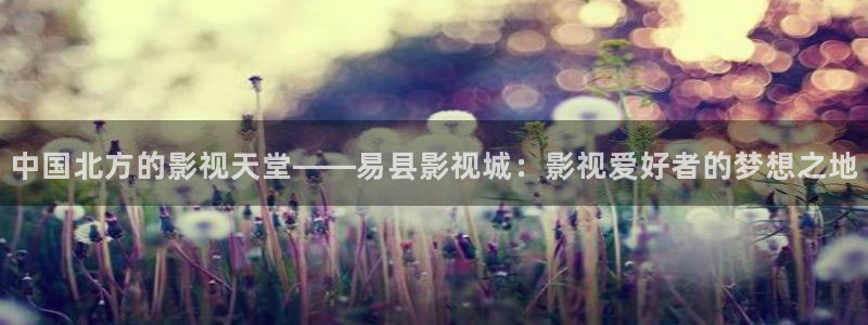 红叶影院app