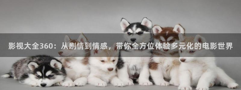 西安红叶影城
