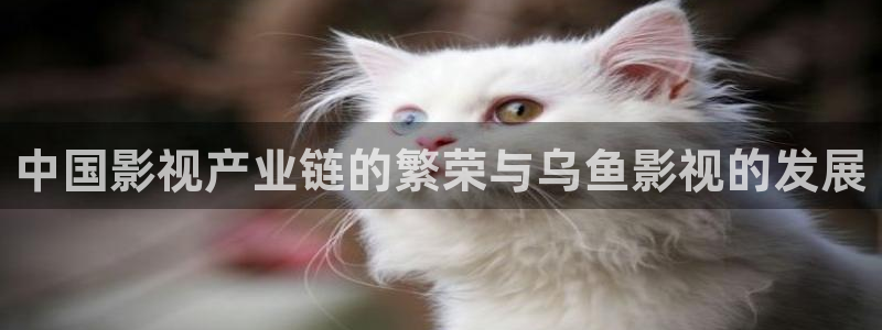 红叶电影今日影讯