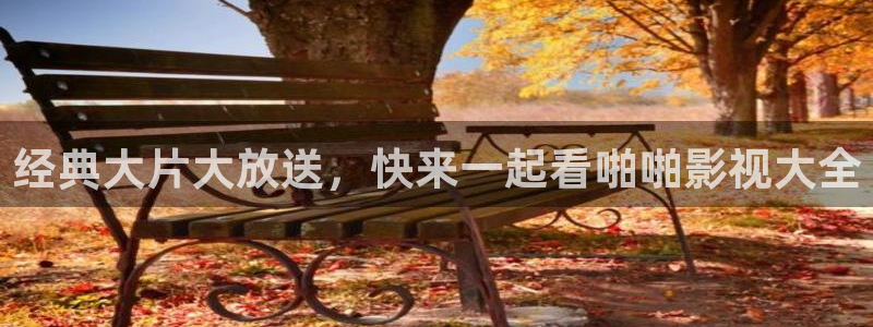六安红叶电影院今日影讯