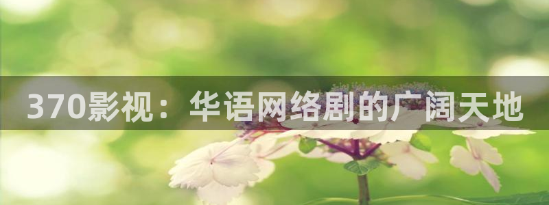 红叶影视下载