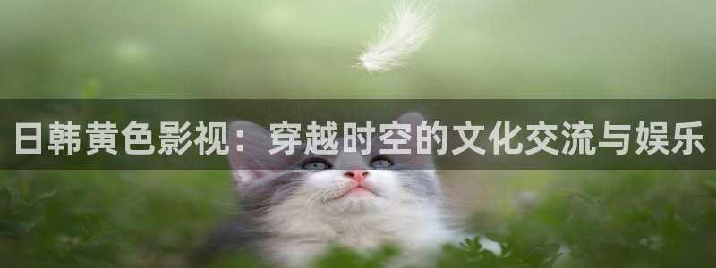 六安红叶电影院今日影讯：日韩黄色影视：穿越时空的文化交流与娱乐